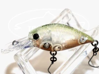  ディスプラウト クラピー ディープG2 ディスプラウト