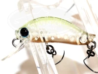 ディスプラウト イーグルプレーヤー - ピコ・F G2 #伊勢崎店 オリカラ パルヘリオ 30mm 1.6g フローティング