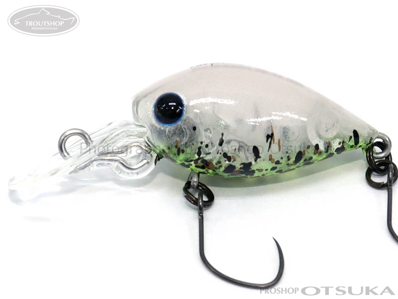 チャタクラ ディスプラウト