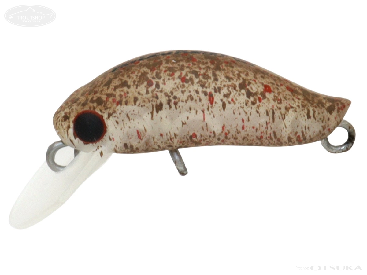 ディスプラウト の通販・在庫一覧