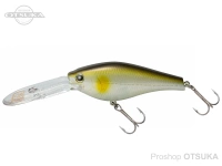  ティムコ マッドペッパー 