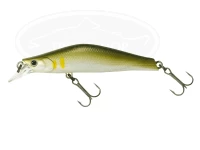  ティムコ ルレイ  62S