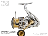  ダイワ 21 フリームス 