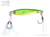  ダイワ ソルティガ 