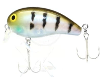  ダイワ ピーナッツ 