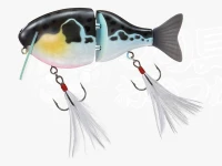 ふく 魚
