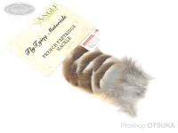  アングル パートリッジ 