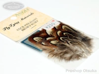  アングル コックフェザント 