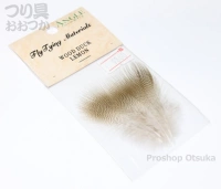  アングル ウッドダック 