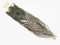 アングル ピーコックアイ -   #NA -