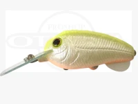  THタックル グーニー 50