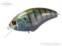  オーエスピー ブリッツ 