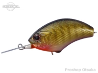  オーエスピー ブリッツ 