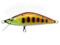  嶋屋 インディゴ 