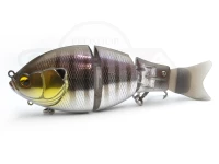  レイドジャパン ジーダッシュ 