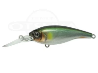  ガンクラフト アイルトン 