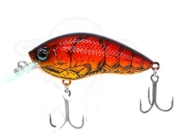  グラスルーツ ランビット 