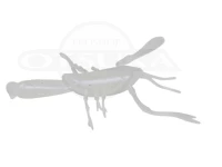  ディスタイル エビソン 