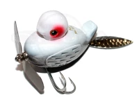  痴虫 プラカイバード 