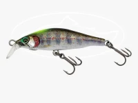 Little Jack Gillary 02 -  45mm Size Chart Head Amago / Half Gill Cover 45mm 4g Sinking