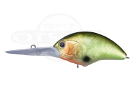  オーエスピー ブリッツ 