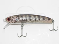  サムルアーズ サミング 