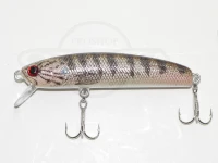  サムルアーズ サミング 