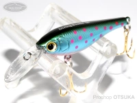  スカジット ダイビングビートル 