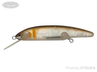  パームス エスケード 