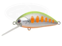  パームス Cクロール 