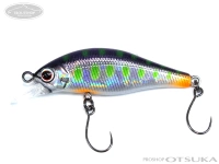  パームス アレキサンドラ 