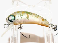  ロブルアー バービー F