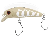  カルテラス チェプラム 