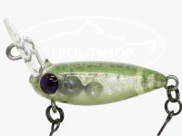 Fat Ussa Jr. Size XS