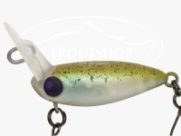  ロデオクラフト ファットウッサjr  XS
