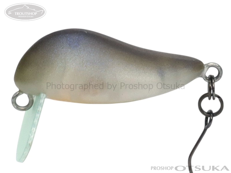 リトルマッコウ プロショップオオツカ