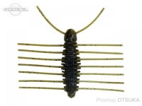  イマカツ 三原虫 