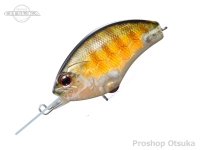  オーエスピー ブリッツ 