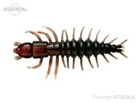 Nikko kasei  -  Size C-04 Natural 3 inch