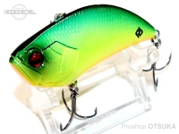 Raid Japan level vibe -  big #LVL001 Shimanashi Tiger 64.0mm 5/8oz class