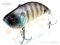 Raid Japan level vibe -  big #LVL008 Raging Bull 64.0mm 5/8oz class