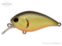  ペイフォワード ワンエイト 