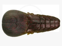 イッセイ AKパンチ フラット 4インチ #20 オリーブメロン 4インチ