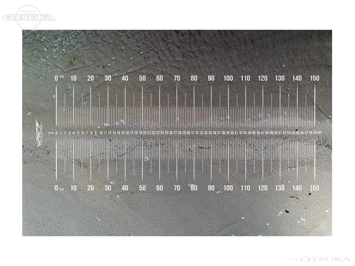 DRTディビジョンレーベルタックル メジャーシート ブラックアウトメジャーシート XXL ** W1800×H1200mm #ビーチ