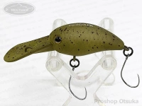  ティモン パニクラ 