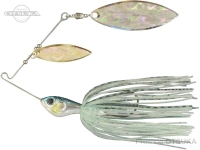  イマカツ IKジンクス 