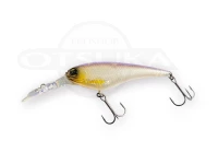  イマカツ ISワスプ 