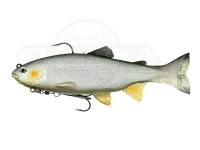  イマカツ レイジースイマー  **