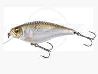  イマカツ ゲキアサシャッド 