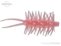  ハイドアップ コイケシュリンプ 